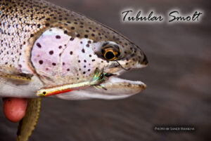 Tubular Smolt