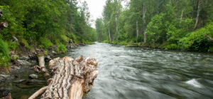 RussianRvr_2013-07-06_0010-Pano